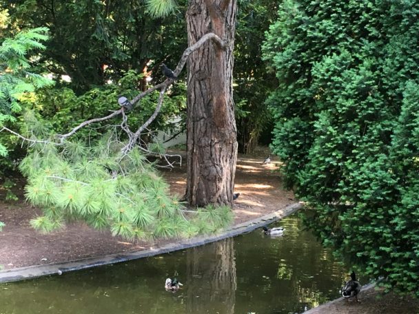 Warum der Wiener Stadtpark immer einen Ausflug wert ist