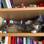 Leseförderung durch Viellesen oder gemeinsames Lesen