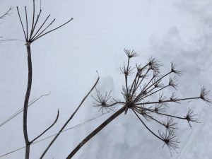 Selbstmitgefühl - Das Leben ist schon hart genug