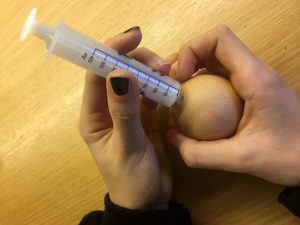 Eier ausblasen - Spritze hineinstecken