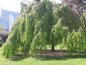 Donaupark Spielplatz aus dem kinderinfo-blog-Magazin "Die schönsten Spielplätze in Wien".