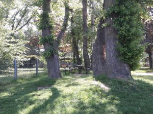 Donaupark Spielplatz aus dem kinderinfo-blog-Magazin "Die schönsten Spielplätze in Wien".