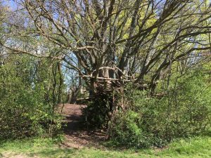 Baumhaus am Spielplatz Roter Berg West