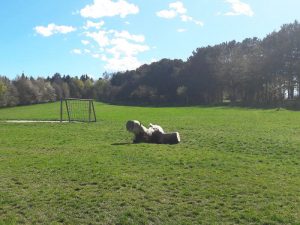 Ausflugstipp Steinhof im blog.kinderinfowien.at