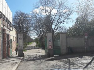 Ausflugstipp Steinhof im blog.kinderinfowien.at