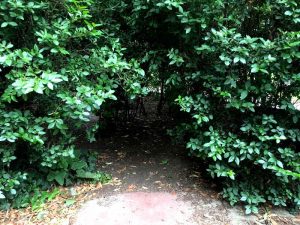 Mehr als ein Spielplatz - Das Plani in Wieden