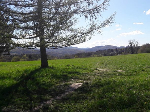 Ausflugstipp Steinhof im blog.kinderinfowien.at