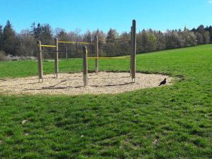 Ausflugstipp Steinhof im blog.kinderinfowien.at