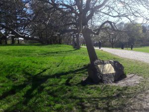 Ausflugstipp Steinhof im blog.kinderinfowien.at