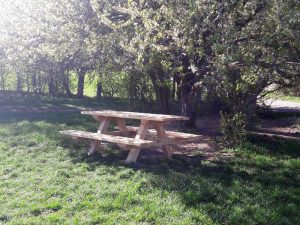 Ausflugstipp Steinhof im blog.kinderinfowien.at