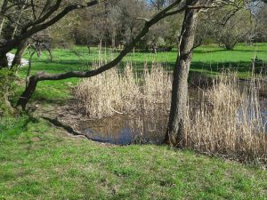 Ausflugstipp Steinhof im blog.kinderinfowien.at