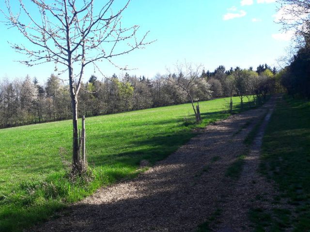 Ausflugstipp Steinhof im blog.kinderinfowien.at