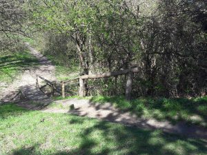 Ausflugstipp Steinhof im blog.kinderinfowien.at