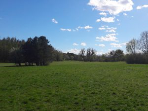 Ausflugstipp Steinhof im blog.kinderinfowien.at