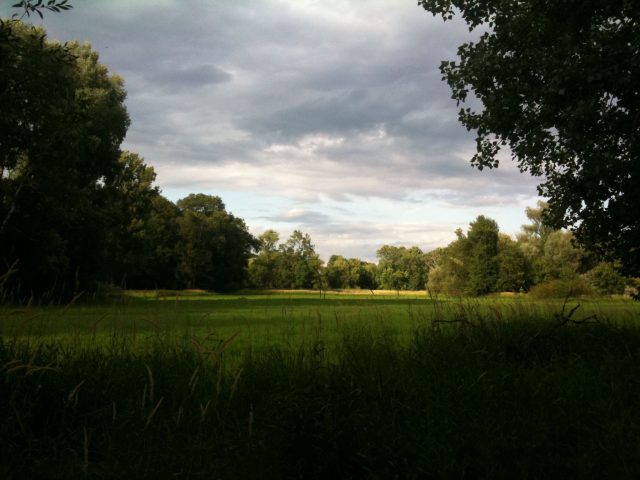 Marchauen im blog.kinderinfowien.at