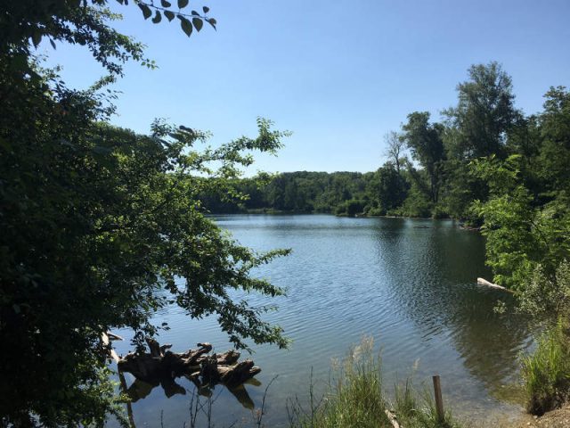 im blog.kinderinfowien.at