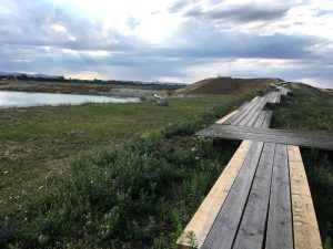 Spielplatz beim See in der Seestadt, https://blog.kinderinfowien.at