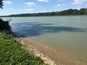 im blog.kinderinfowien.at