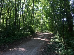 im blog.kinderinfowien.at