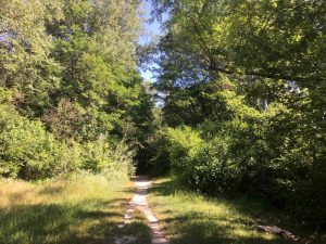 im blog.kinderinfowien.at