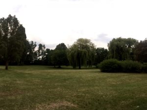 Badespaß vor den Toren Wiens: Die Seeschlacht in Langenzersdorf