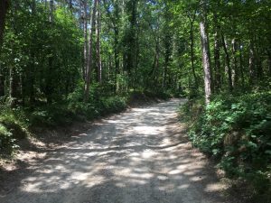 im blog.kinderinfowien.at