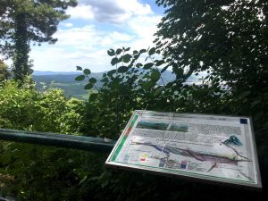 im blog.kinderinfowien.at