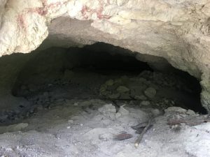 im blog.kinderinfowien.at