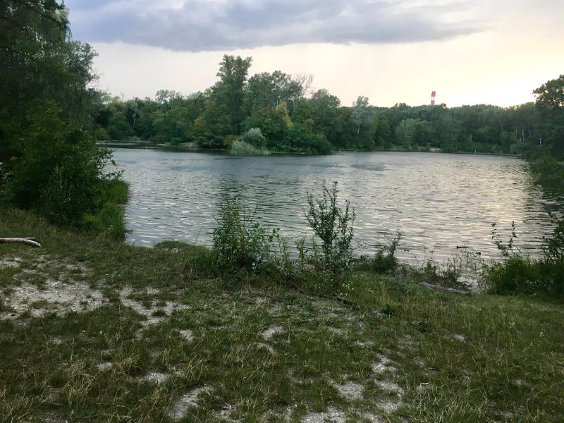 Schwimmen in der Lobau - Dechantlackeim blog.kinderinfowien.at