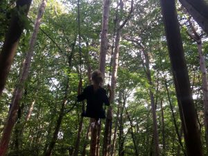 im blog.kinderinfowien.at