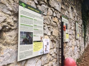 im blog.kinderinfowien.at