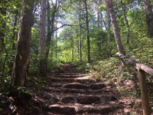 im blog.kinderinfowien.at