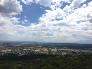 im blog.kinderinfowien.at