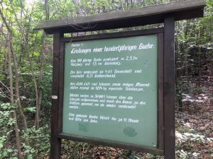 im blog.kinderinfowien.at