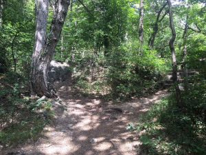 im blog.kinderinfowien.at