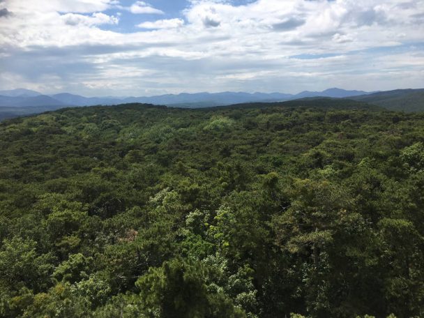 im blog.kinderinfowien.at