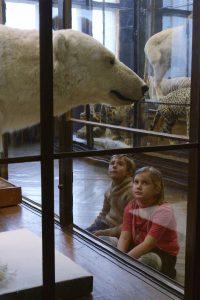 (c) NHM Wien, Kurt Kracher