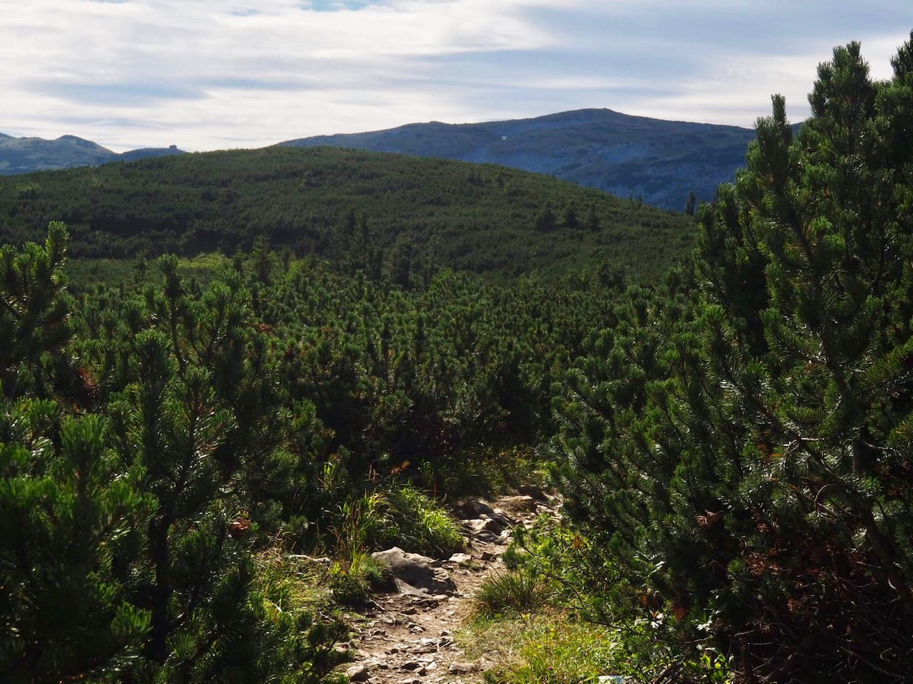 Familienwandung - Ein Ausflug auf die Rax